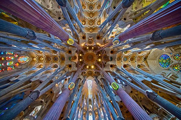 Coming Back to the Church