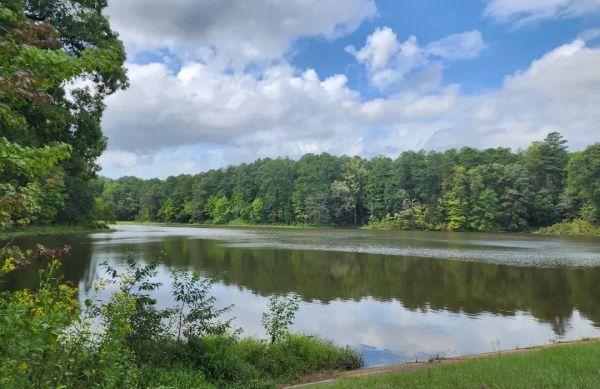 Will Clayton on Christianity, Carbon Markets, and Purpose