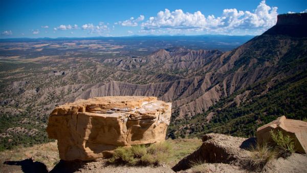 Heidi Steltzer on Earth Science, Mysticism, and Theology