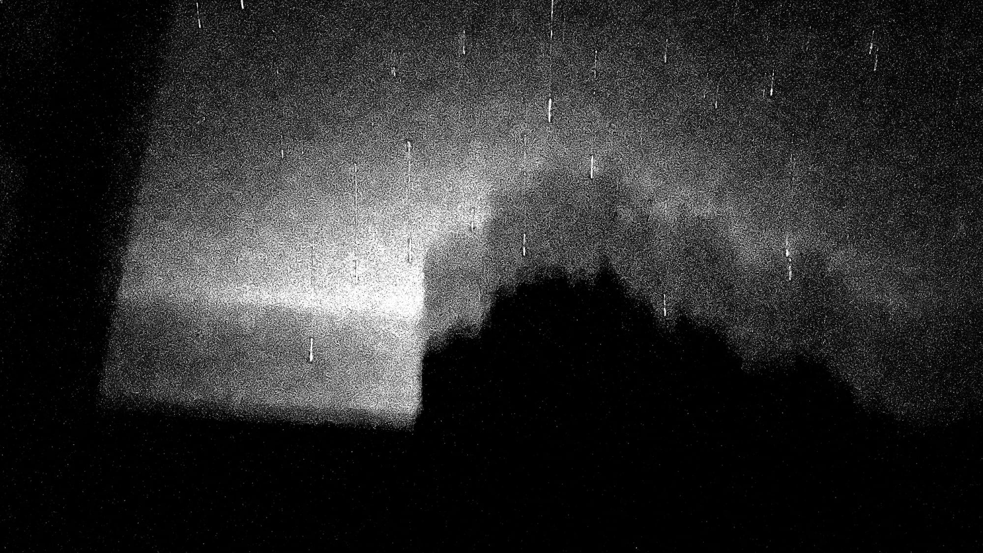 Dust, Litter and Leaves