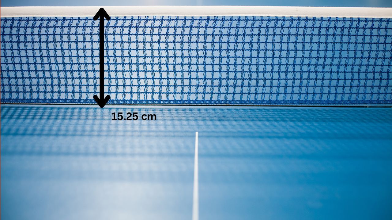 Net Height of Table Tennis Table