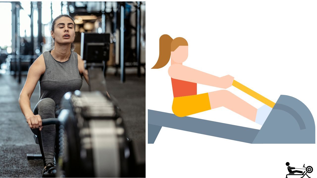 Rowing Machine