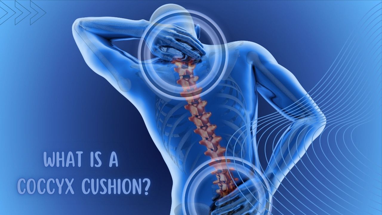Coccyx Cushion