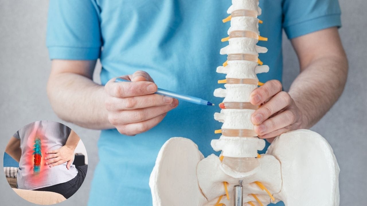 Coccyx Pain and Spine Anatomy