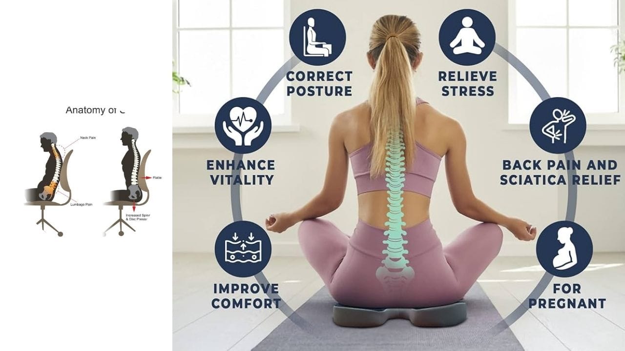 Coccyx Pain When Pregnent Postures