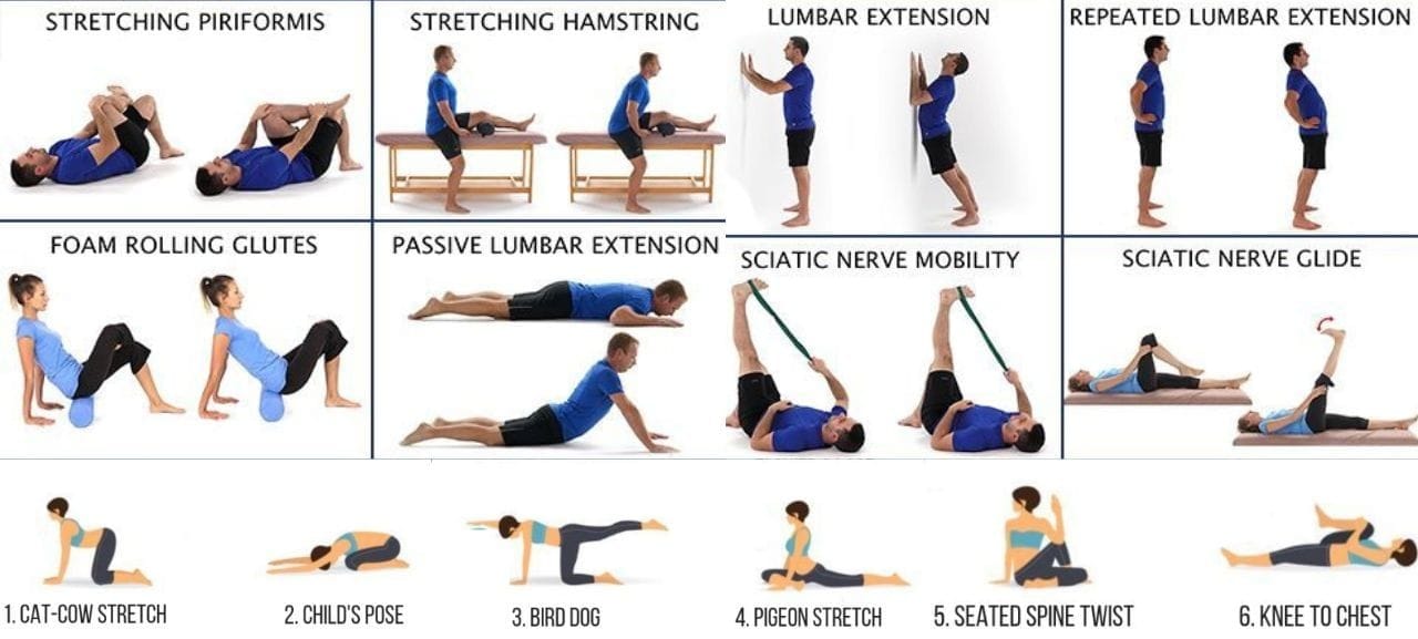 Stretching in Sciatica