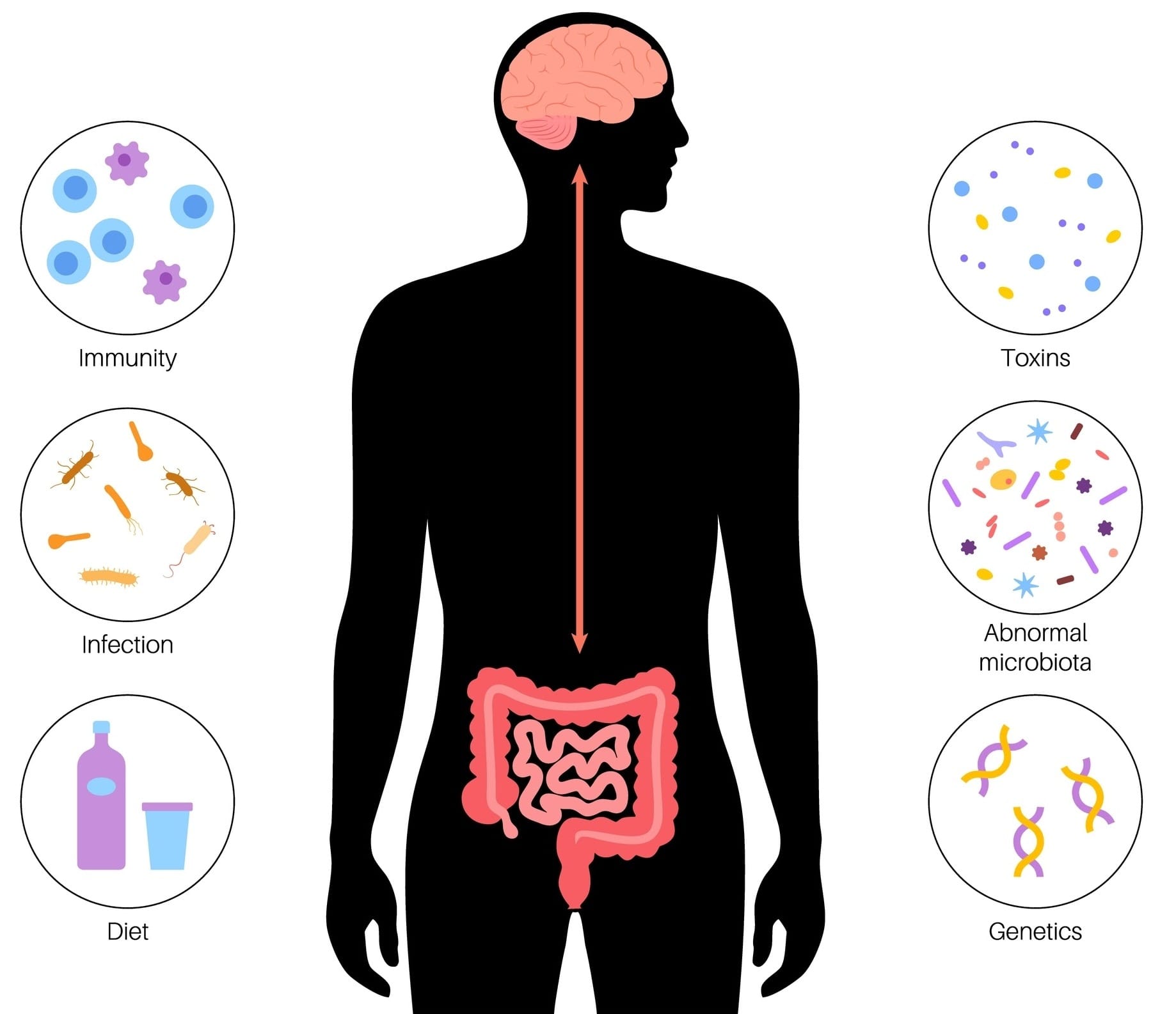 Why Fiber is So Important for Your Gut