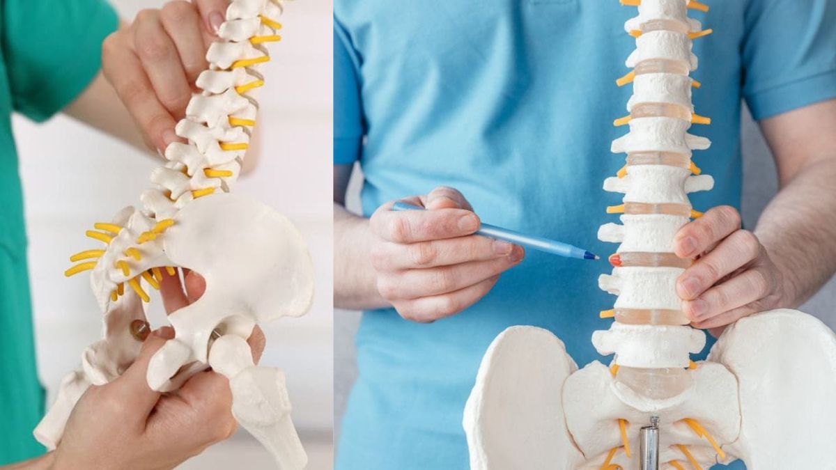 Which Doctor to See for Coccyx Pain: Finding the Specialist