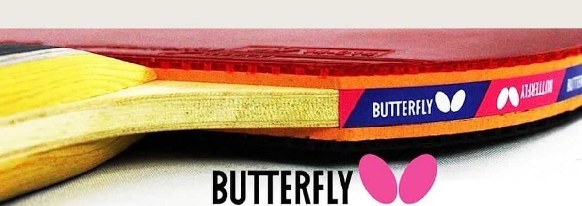 Unleash Your Game with Butterfly Table Tennis Gear