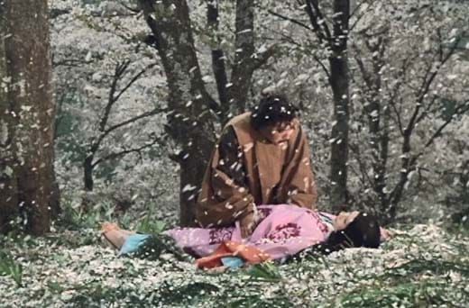 A few thoughts on Shinoda Masahiro's Under the Blossoming Cherry Trees