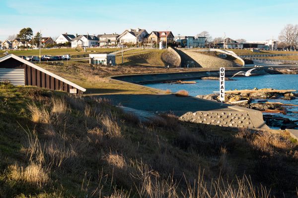 The Americans Land at the Foot of Moss Street and Invade Canada