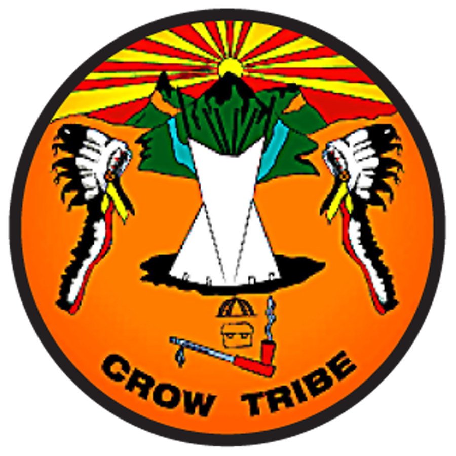 Unofficial tribal election results released