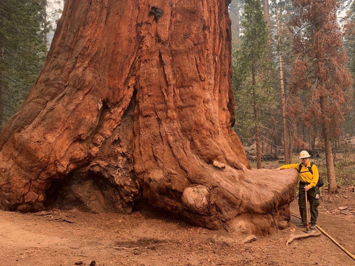 When Giants Fall We Need To Listen