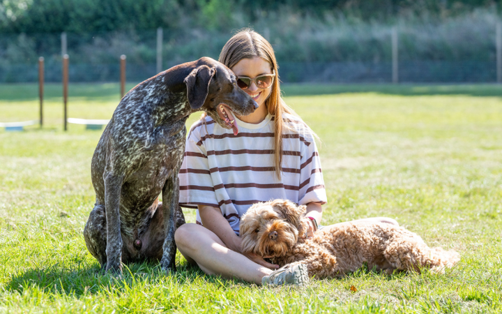 Why a Secure Field Is One of the Best Things You Can Give Your Dog 🔒