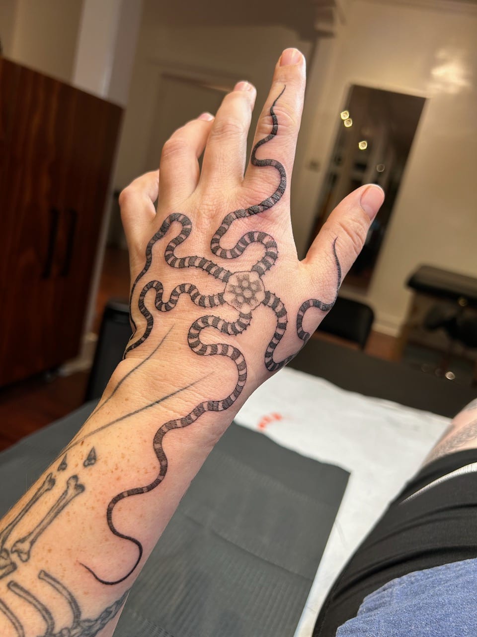 my hand which now has a big tattoo of a brittle star on it