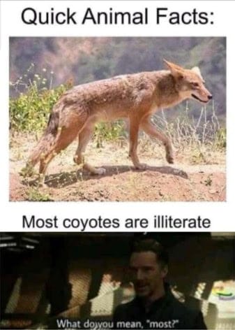 At the top it says "quick animal facts" above a picture of a coyote. Below that it says "Most coyotes are illiterate." Below that is a screencap from a TV show showing a man saying "what do you mean "most?""