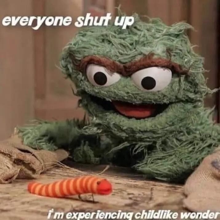 oscar the grouch looking at a worm, and white text says "everyone shut up I'm experiencing childlike wonder"