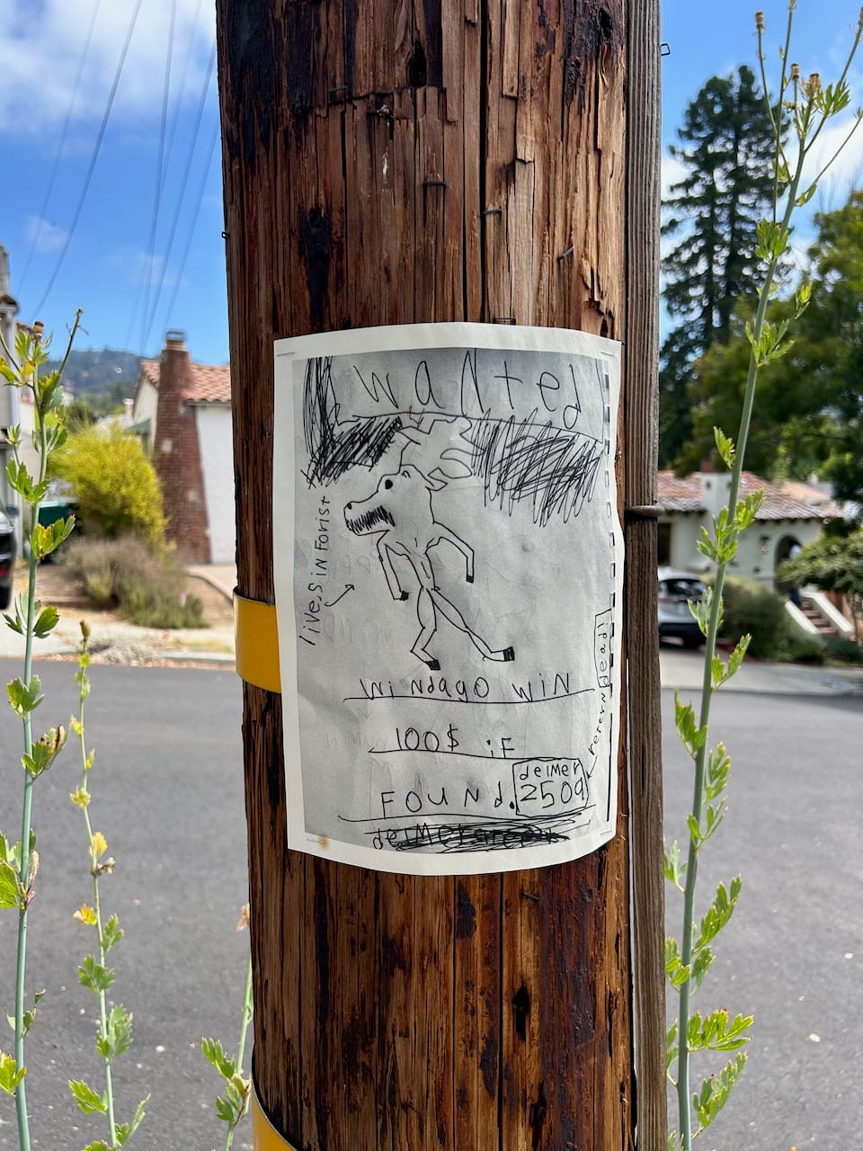 a sign on a pole I saw that shows a kid's drawing of a fucked up looking horse/deer/moose that says "WANTED: lives in forist, windago win, 100$ if found