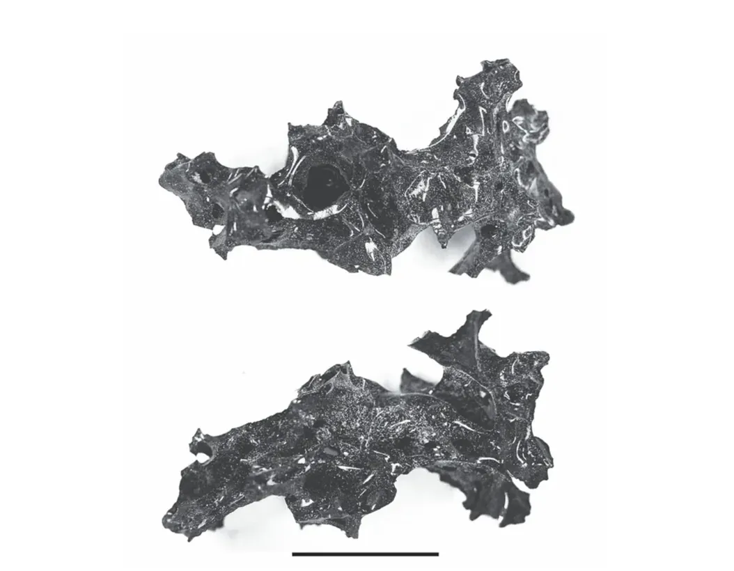 〰️ 02〰️ in 〰️ out 〰️