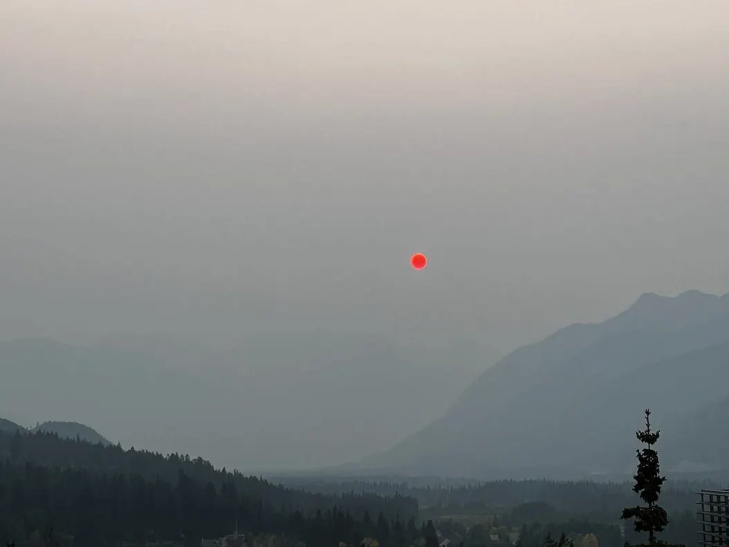 〰️ 09 〰️ in 〰️ out 〰️