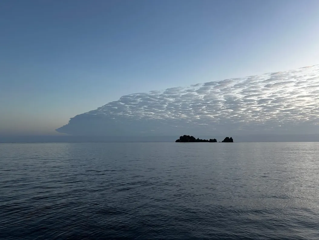 〰️ 11 〰️ in 〰️ out 〰️