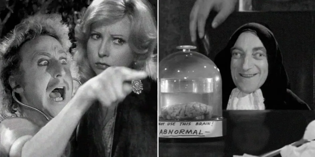 A meme that uses Young Frankenstein and formats it to look like the lady screaming at the cat over salad meme.