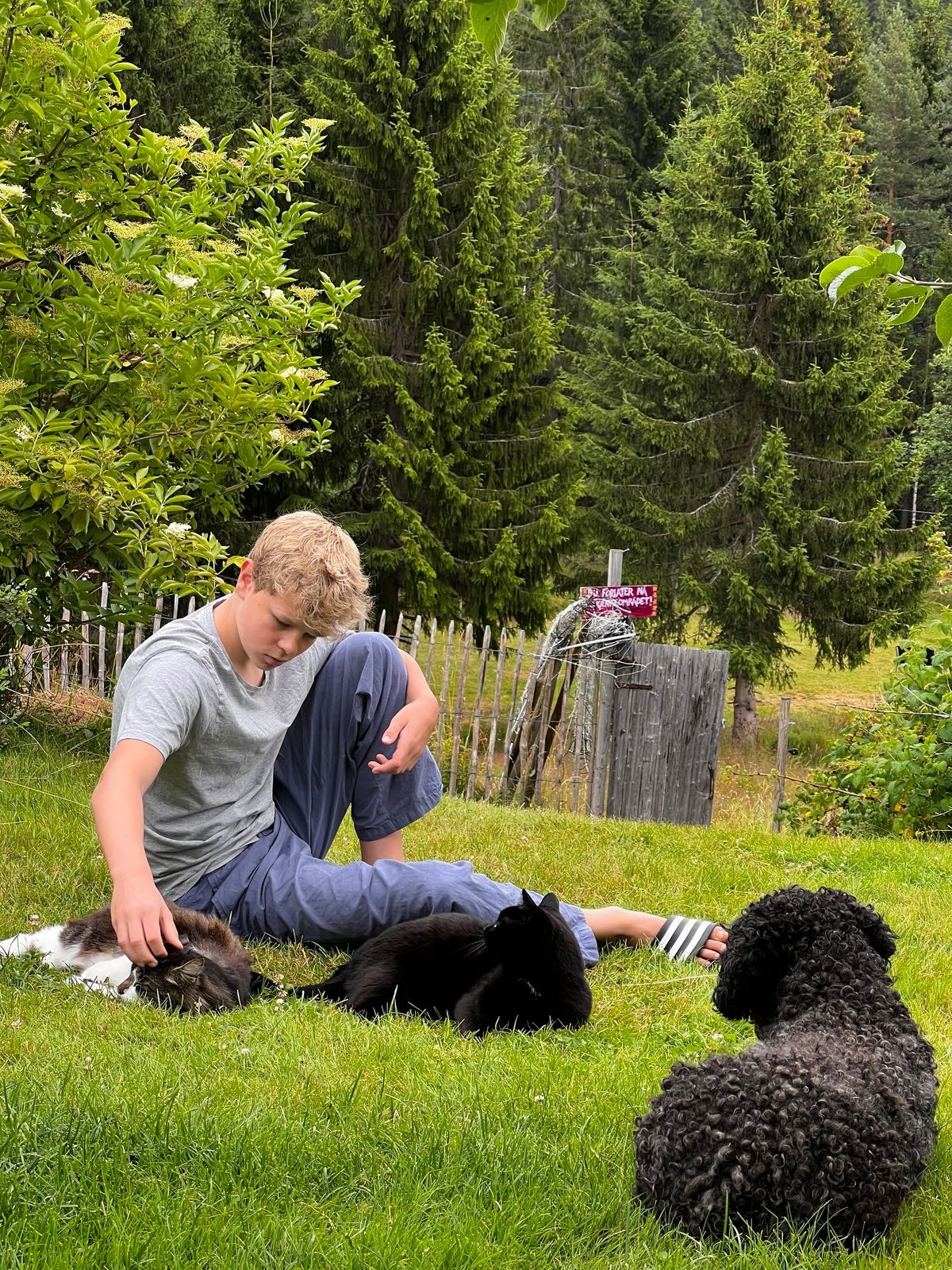 Gjenopprettelsens historie