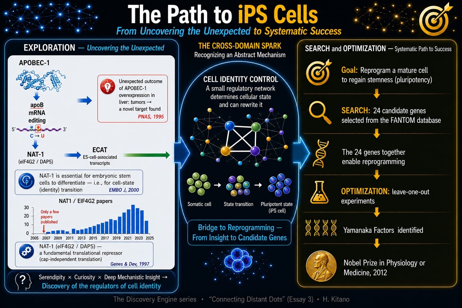 Path-to-iPS_Cell.jpg