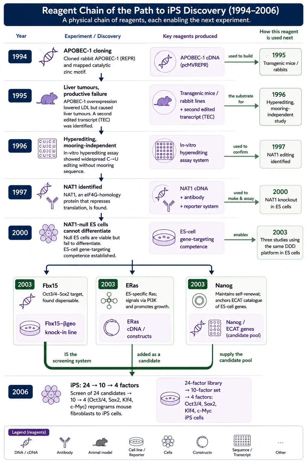 iPS-Chain-of-Reagents-Flow.jpg