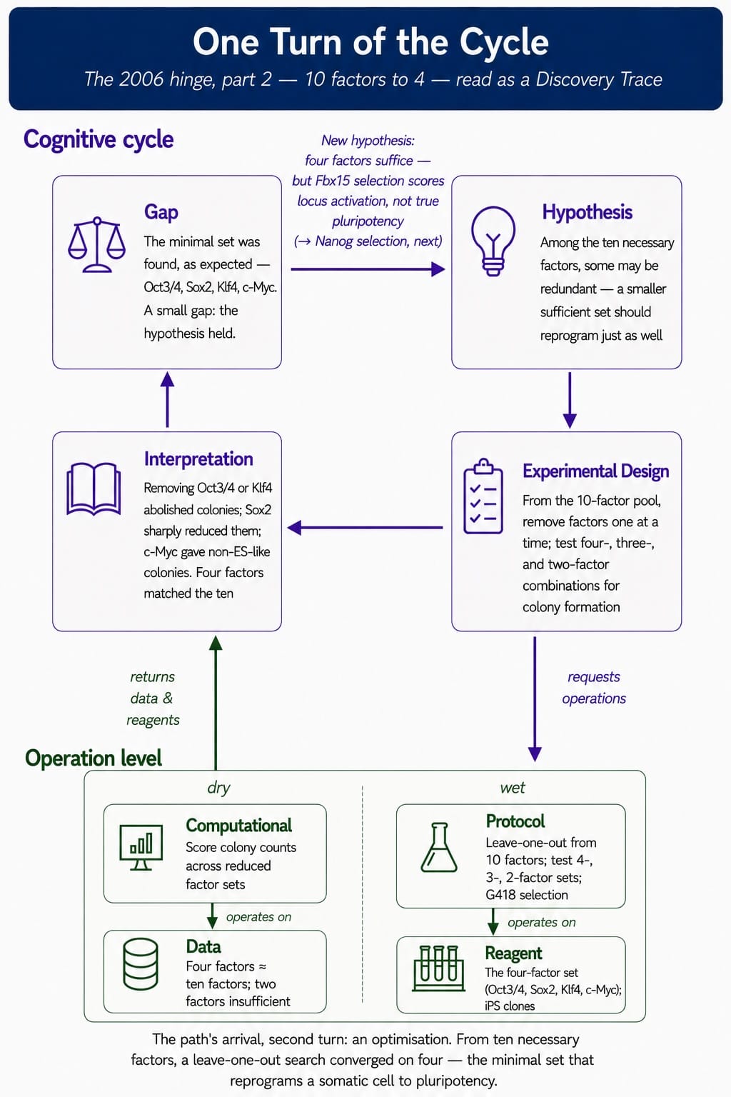 iPS-Cycle-6b-10to4.jpg
