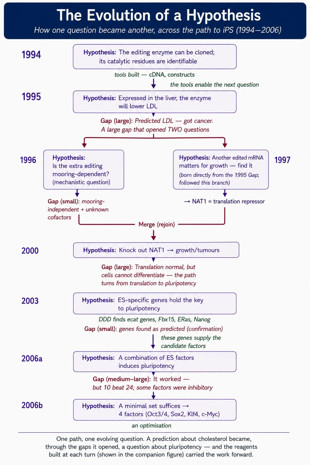 iPS-Hypothesis-Evolution.jpg