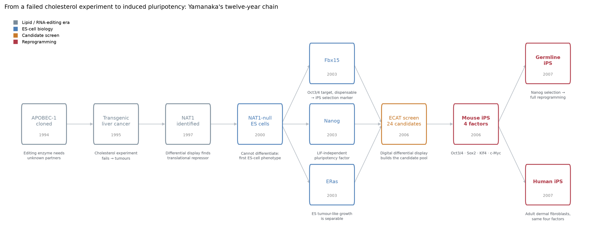 yamanaka_discovery_chain.png