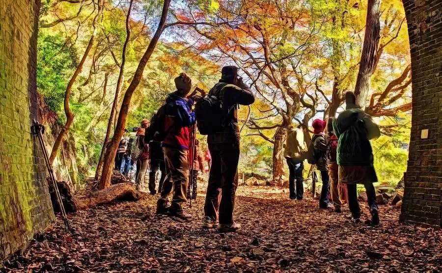 Aigi Tunnels in autumn, Kasugai