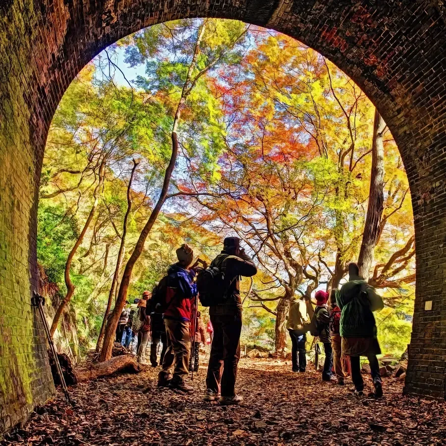 Red Brick, Red Leaves: Aigi Tunnels 2026