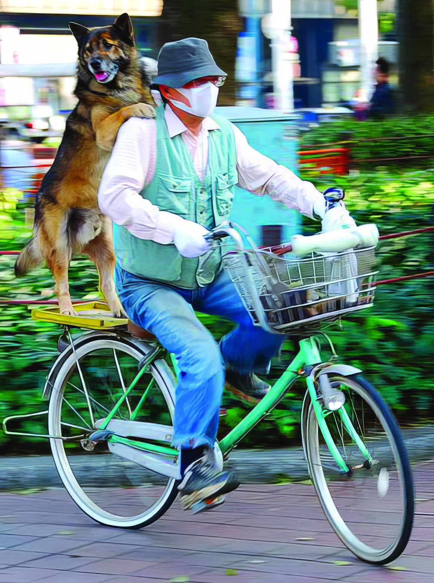 Japan's New Bicycle Laws