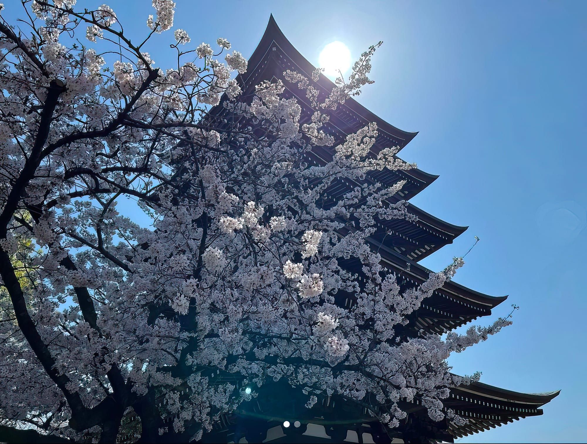 The Kakuozan Spring Festival April 6~7