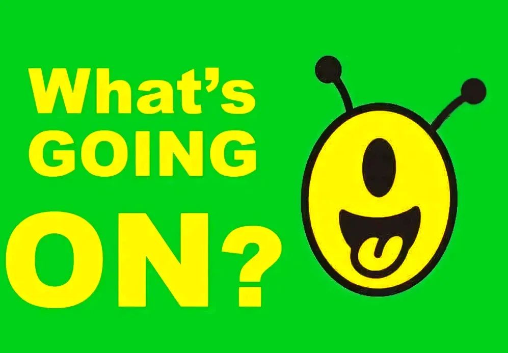 What's Going On Nagoya? August 21