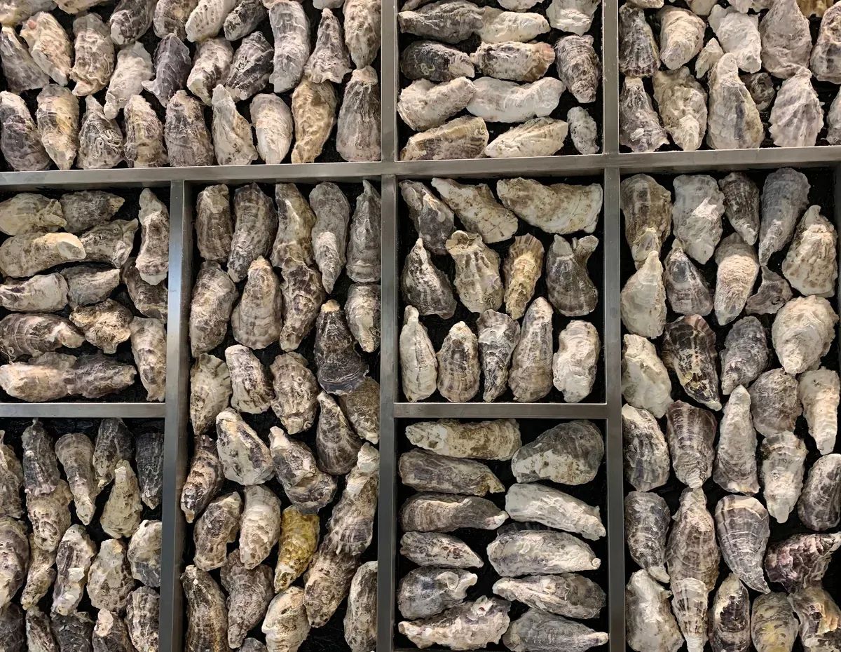 Oyster Season in Nagoya