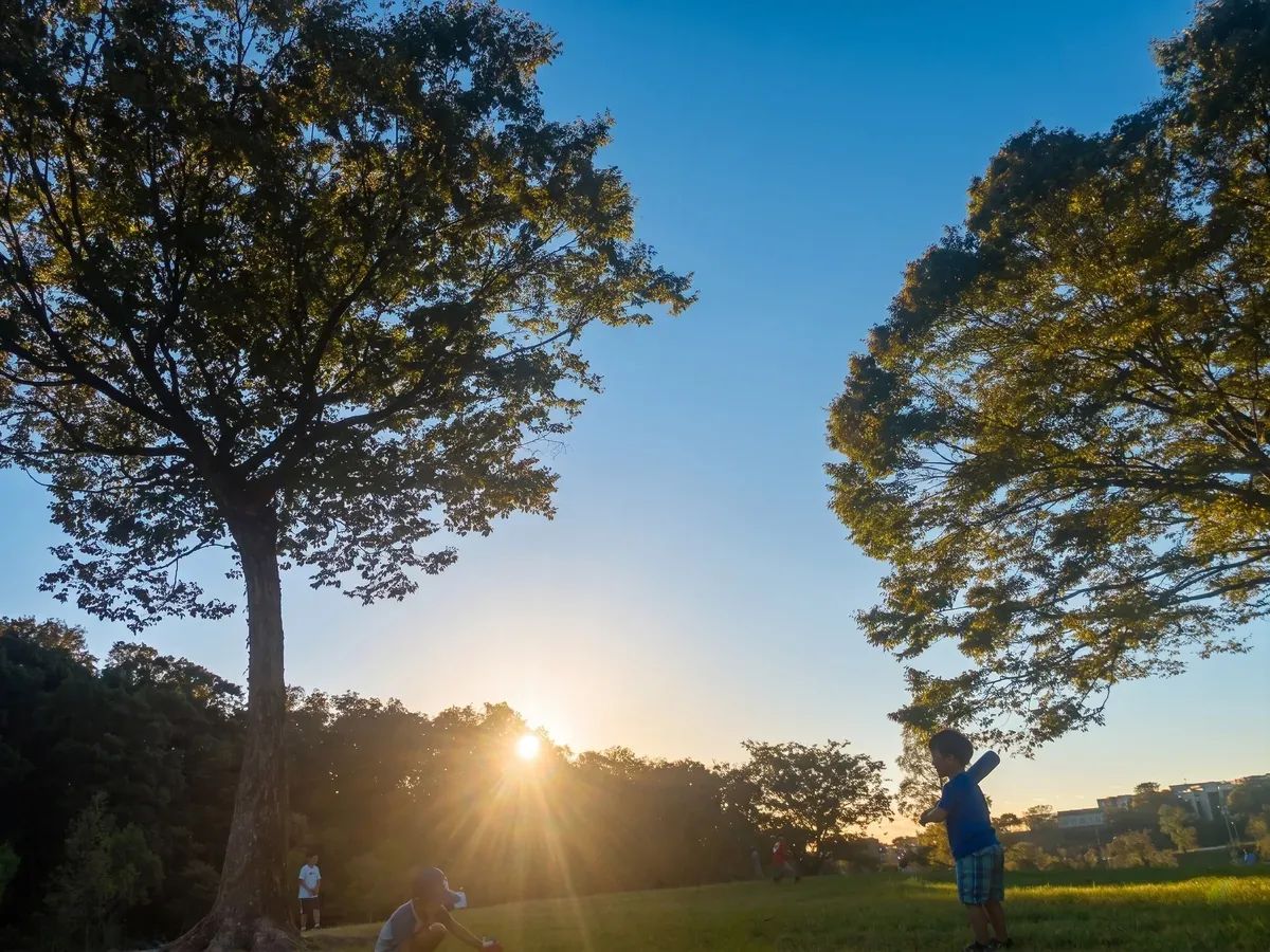 Nagoya Parks and Gardens