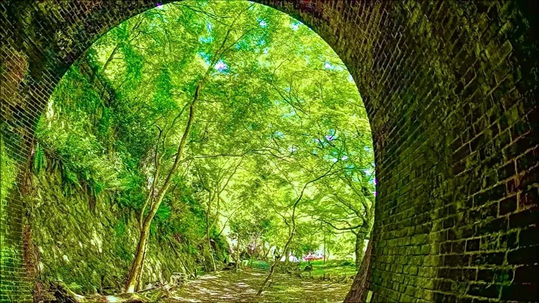 Green Light, Old Brick: Kasugai's Spring Tunnel Walk