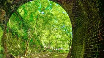 Green Light, Old Brick: Kasugai's Spring Tunnel Walk