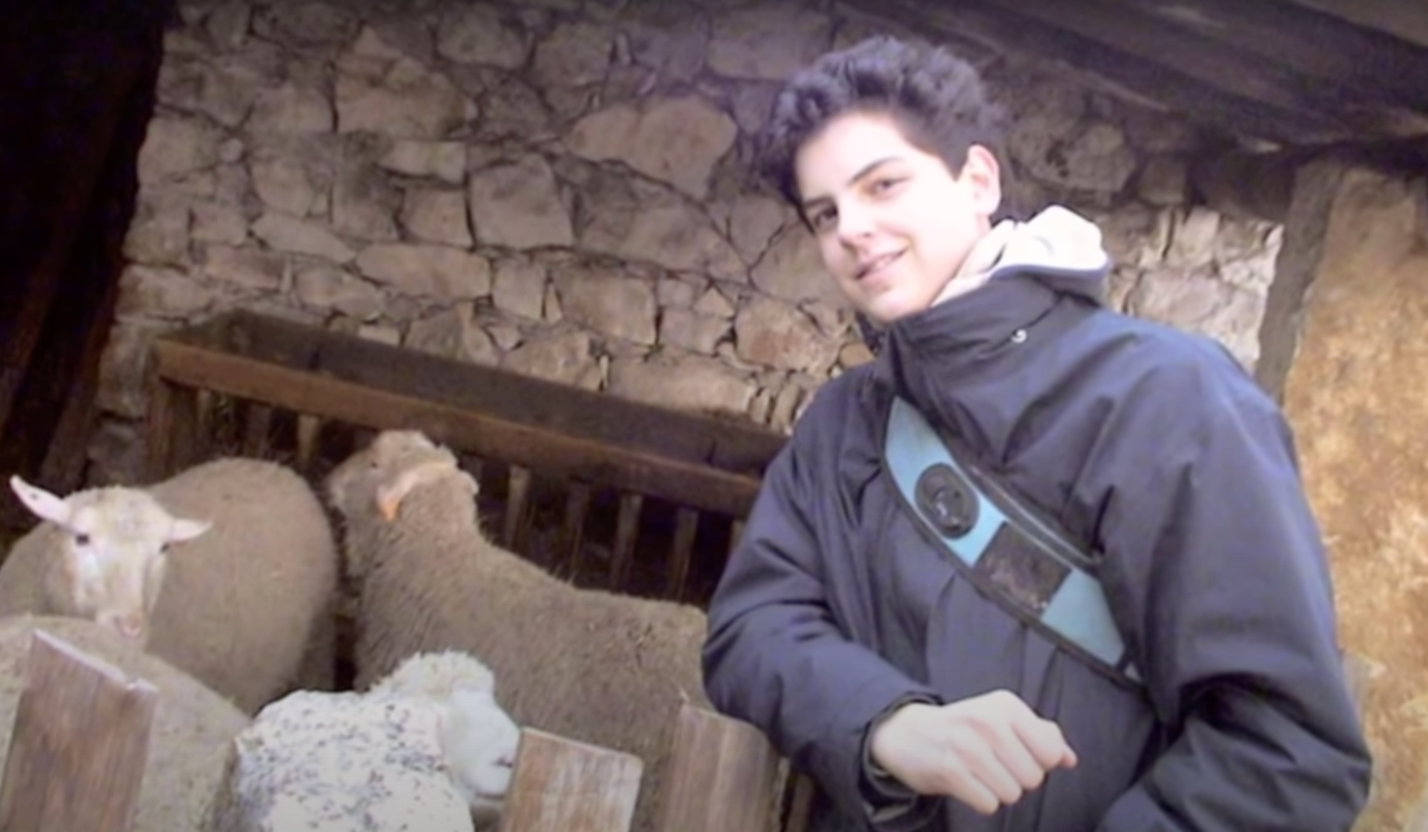 millennial saint catholic carlos acutis coder