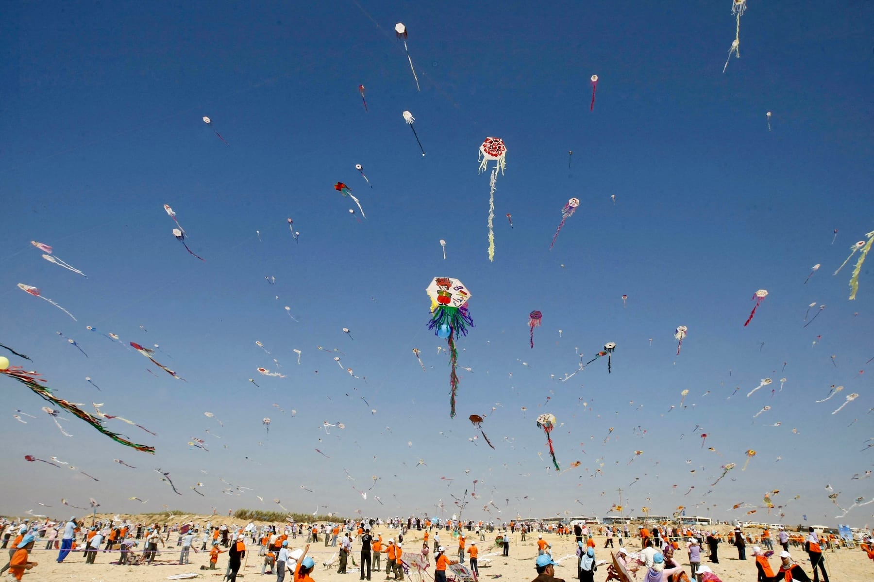 palestinian children fly kite