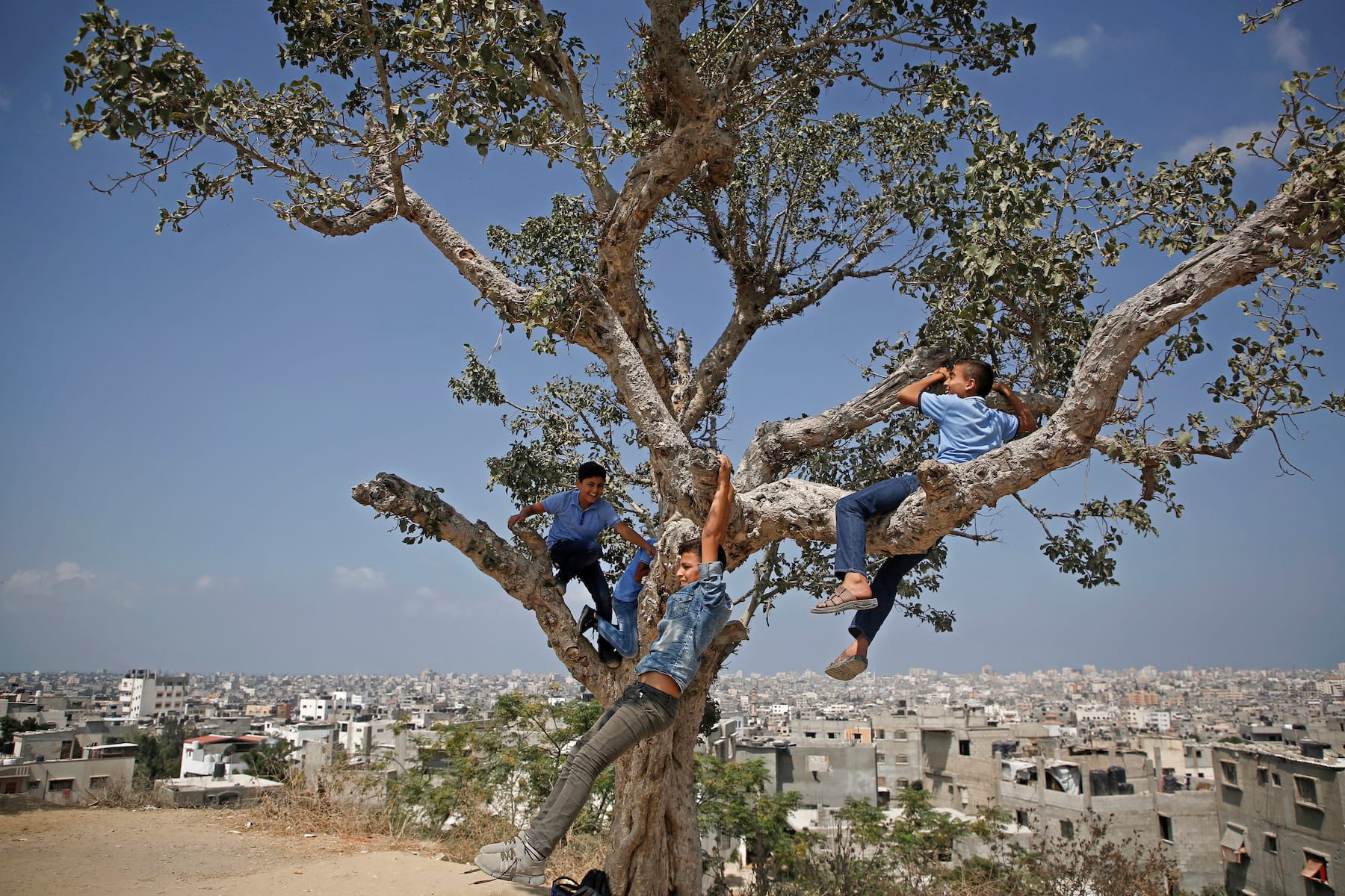 palestinians boys playing