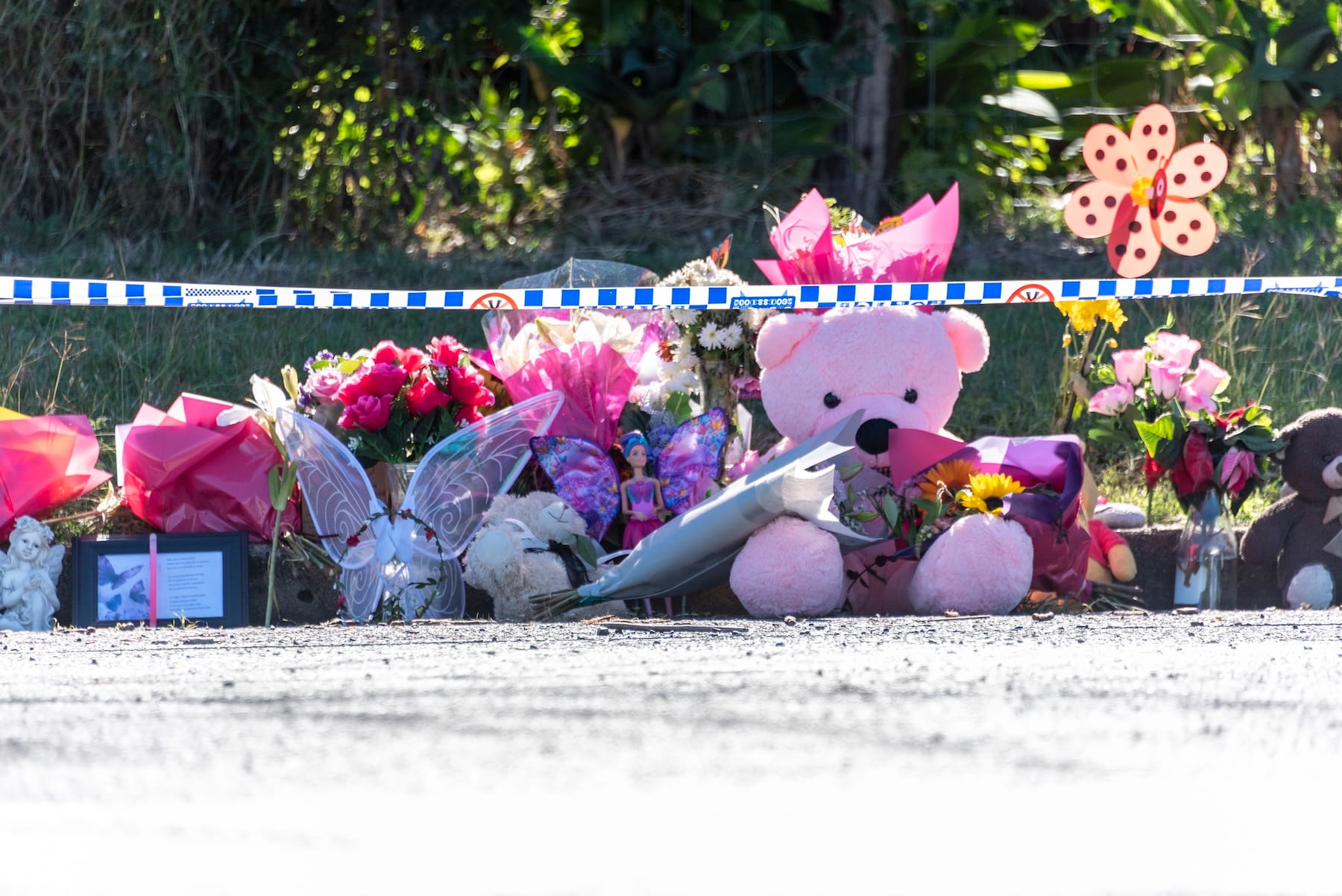 queensland police case pheobe bishop