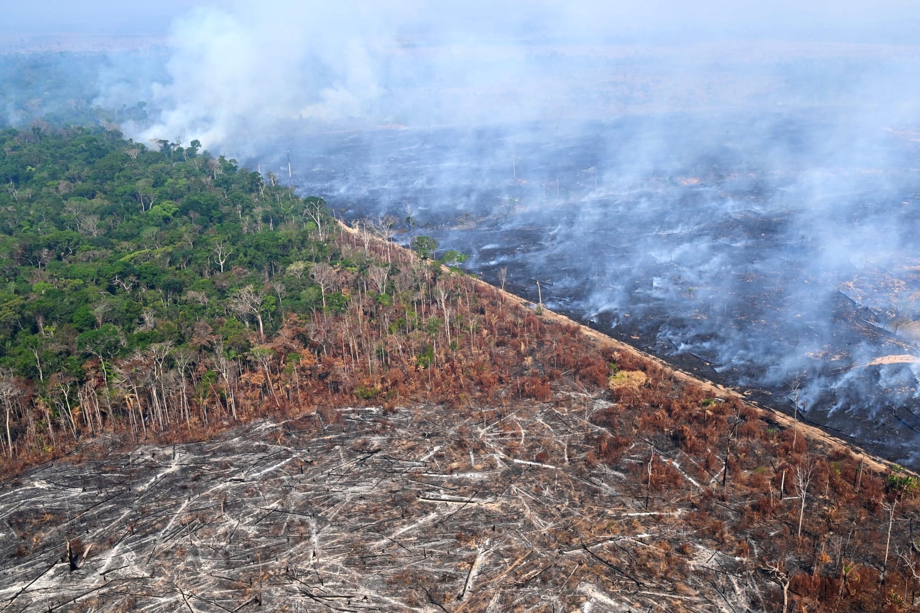brazil devastation bill environment harm projects approval