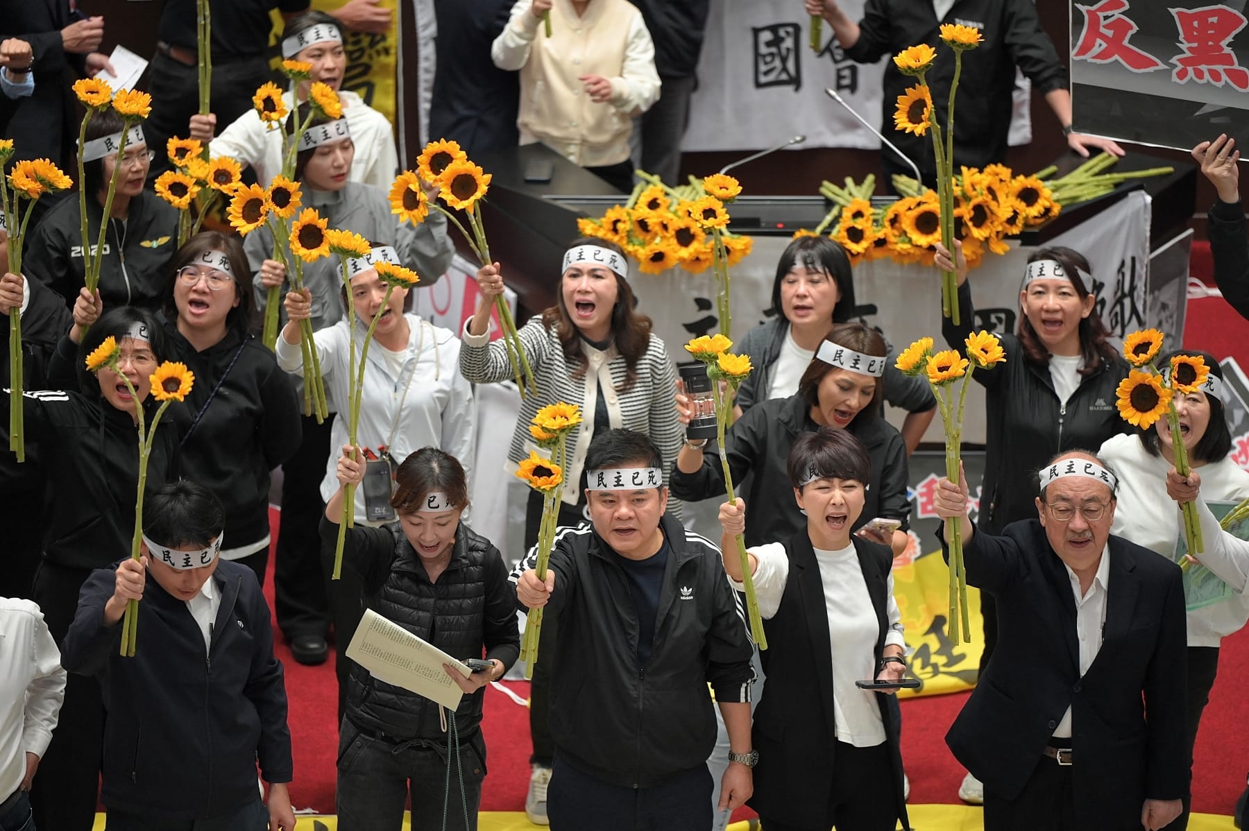 taiwan mass recall vote explained