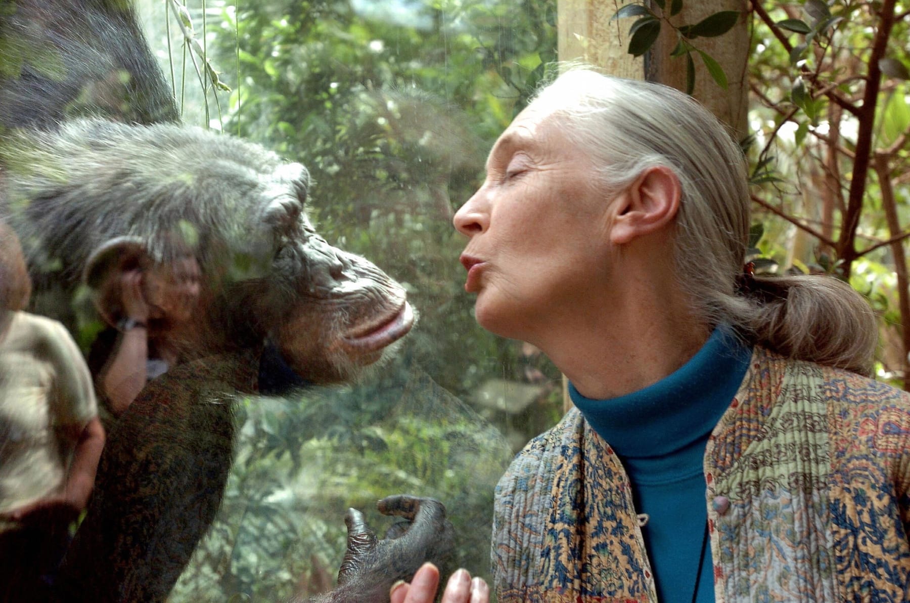 jane goodall died primatologist