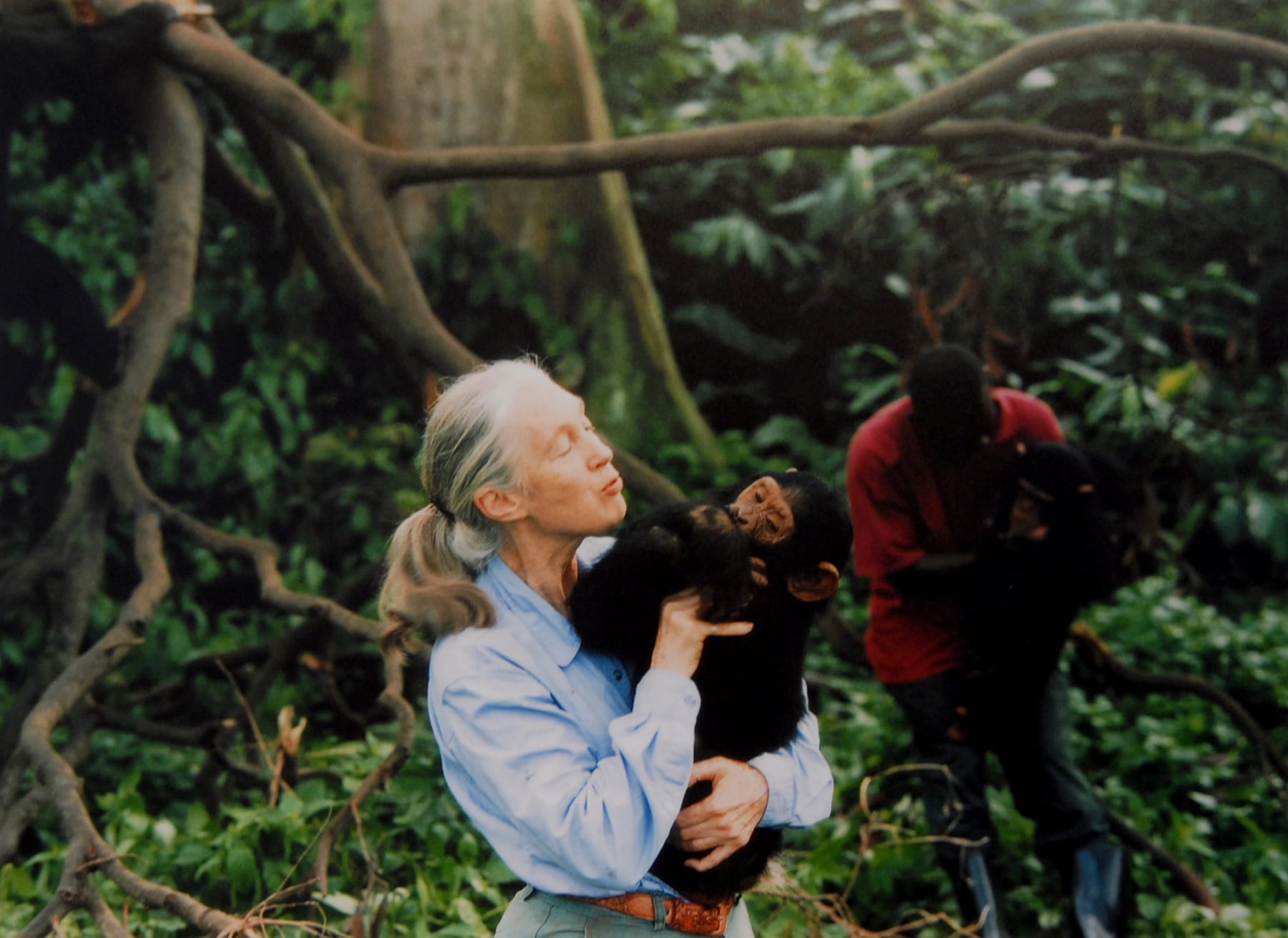 jane goodall died primatologist