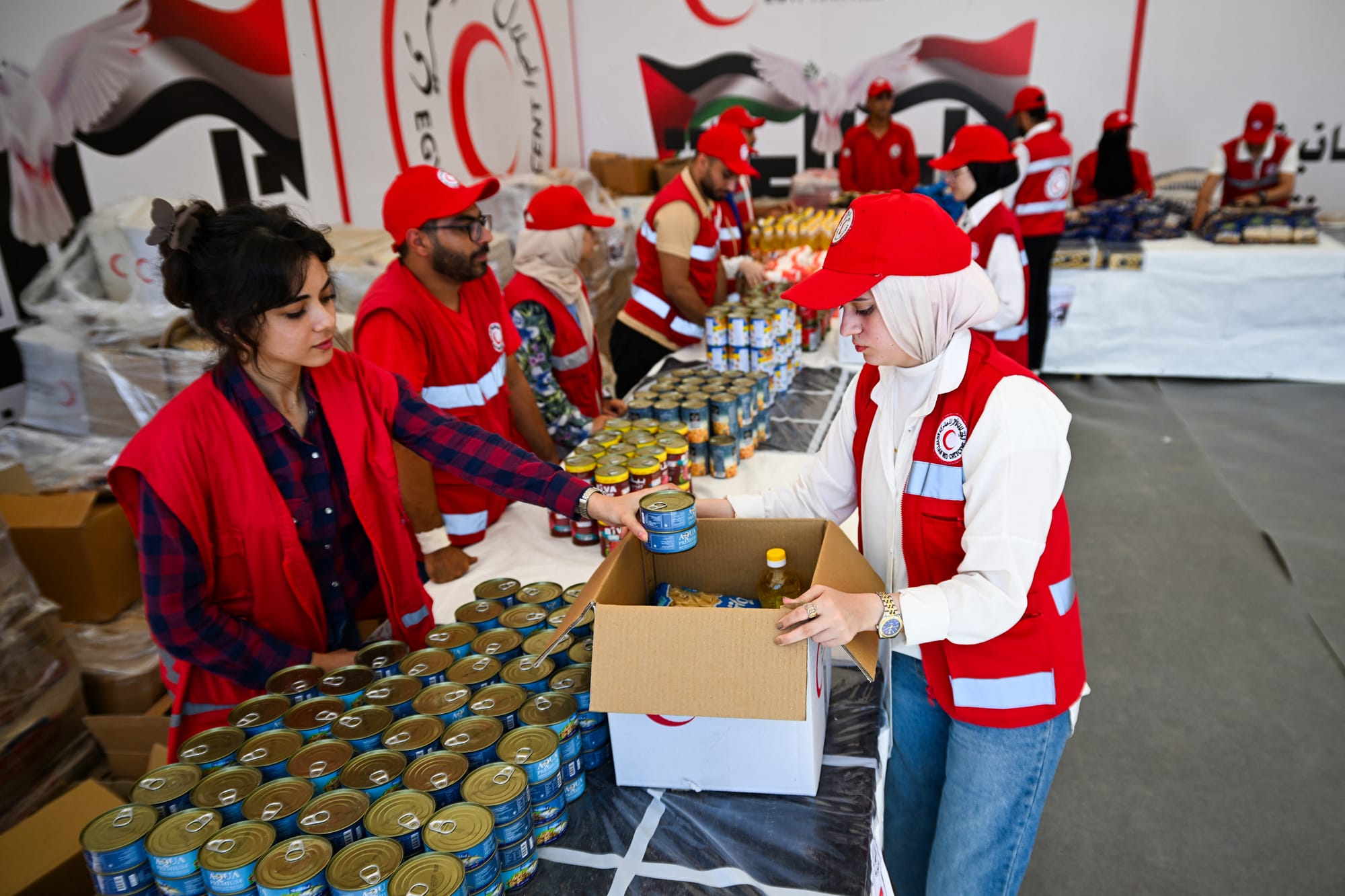 israel ban ingos gaza genocide